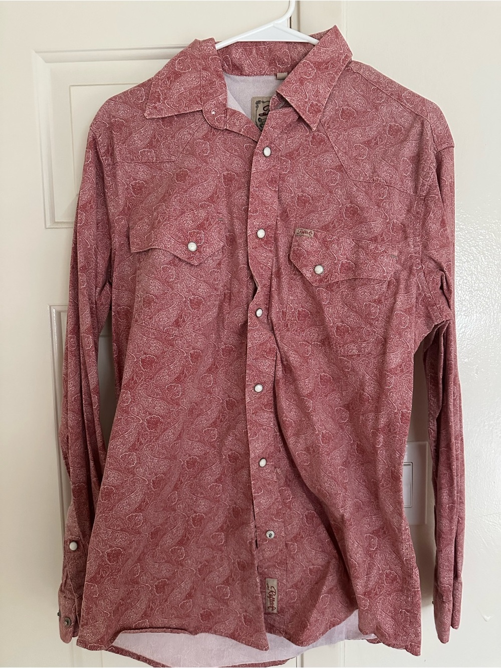 Men's Paisley Button-Down Shirt in Dusty Rose
